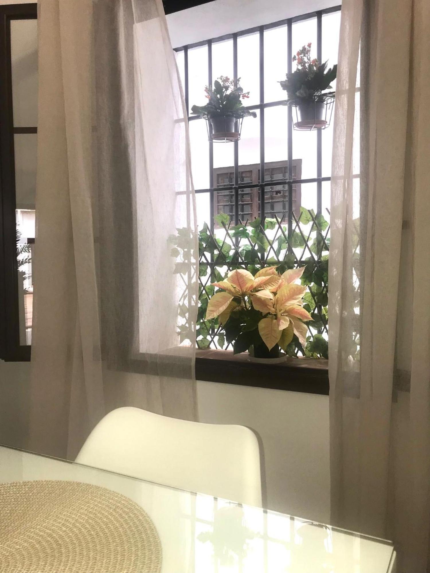 Apartamento El Museo Écija Buitenkant foto